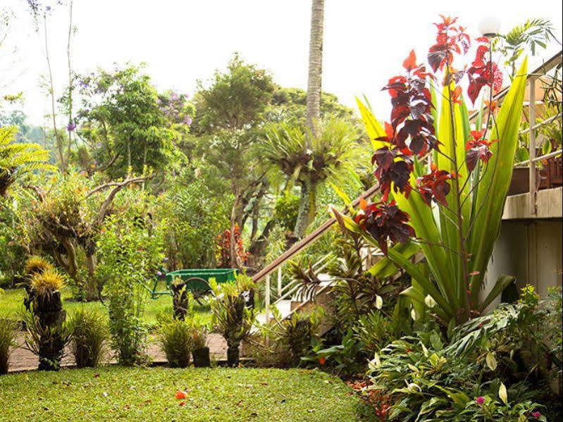 Bird Of Paradise Hotel Goroka Εξωτερικό φωτογραφία